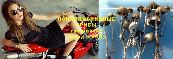 COCAINE Алзамай