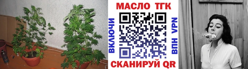 дарнет шоп  Пущино  ТГК концентрат 